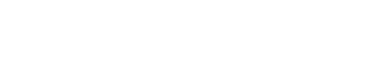 FEYNLAB